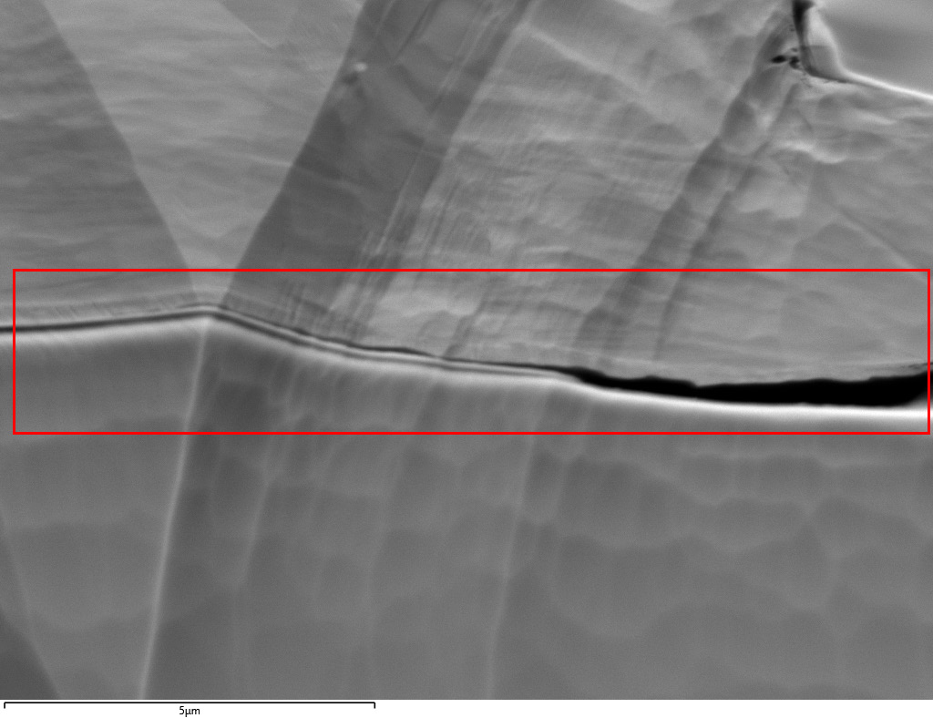 Higher magnification forescattered electron image of the Cu-Si interface. Red box marks the EBSD analysis region. Scale bar marks 5 µm.