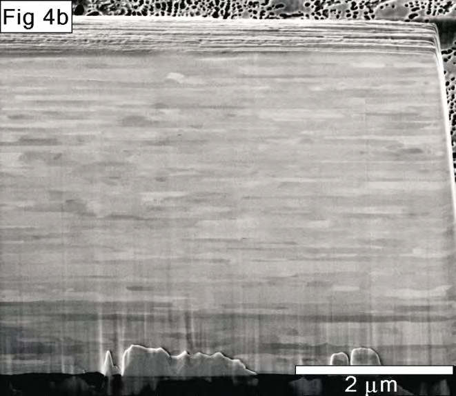 Figure 4a: SE image of the cross section cut surface of tungsten filament showing fine grain structure